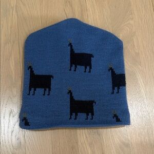 Patagonia Blue and Black Lama Ski Snow Hat Fleece Lined